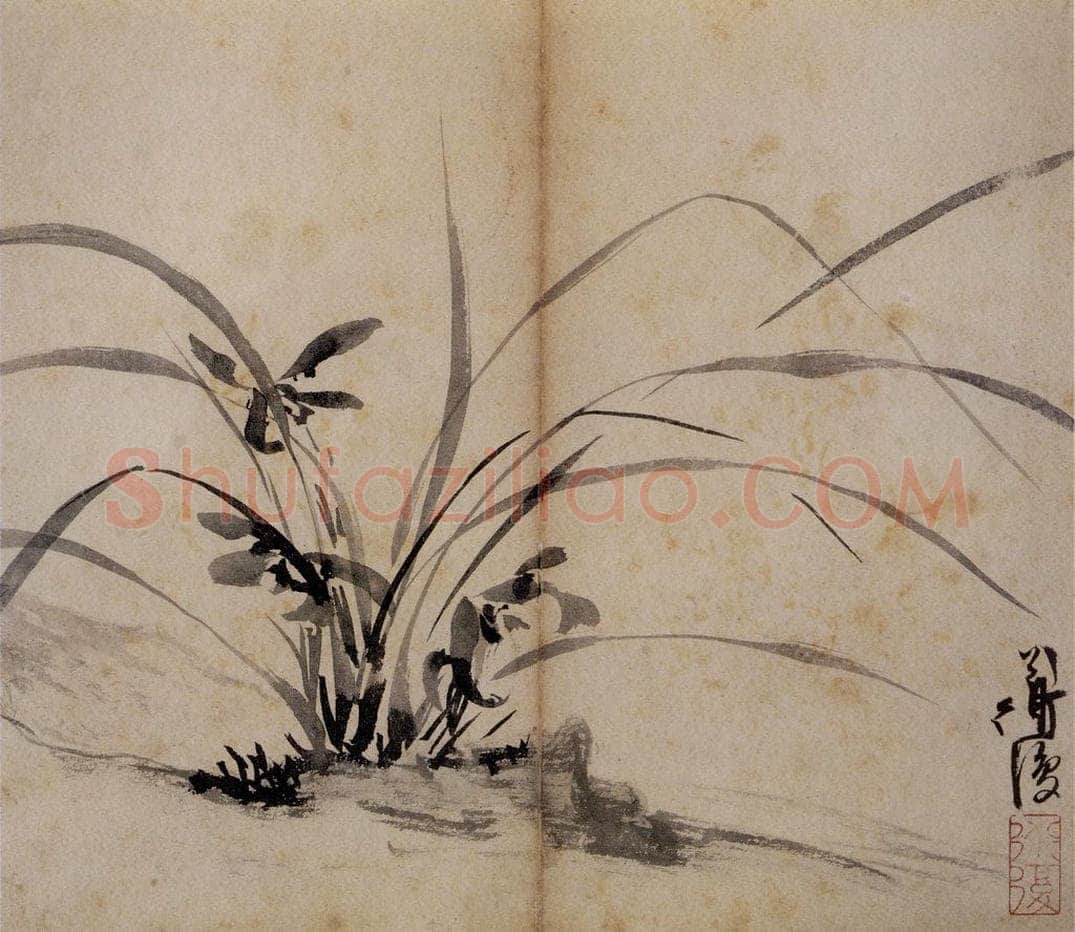 陈淳 《花卉册》 书画作品