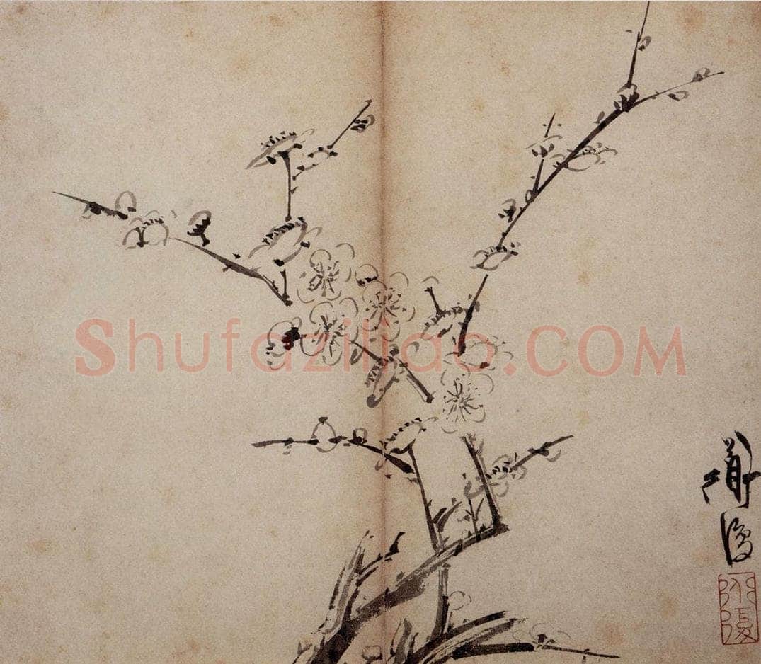 陈淳 《花卉册》 书画作品