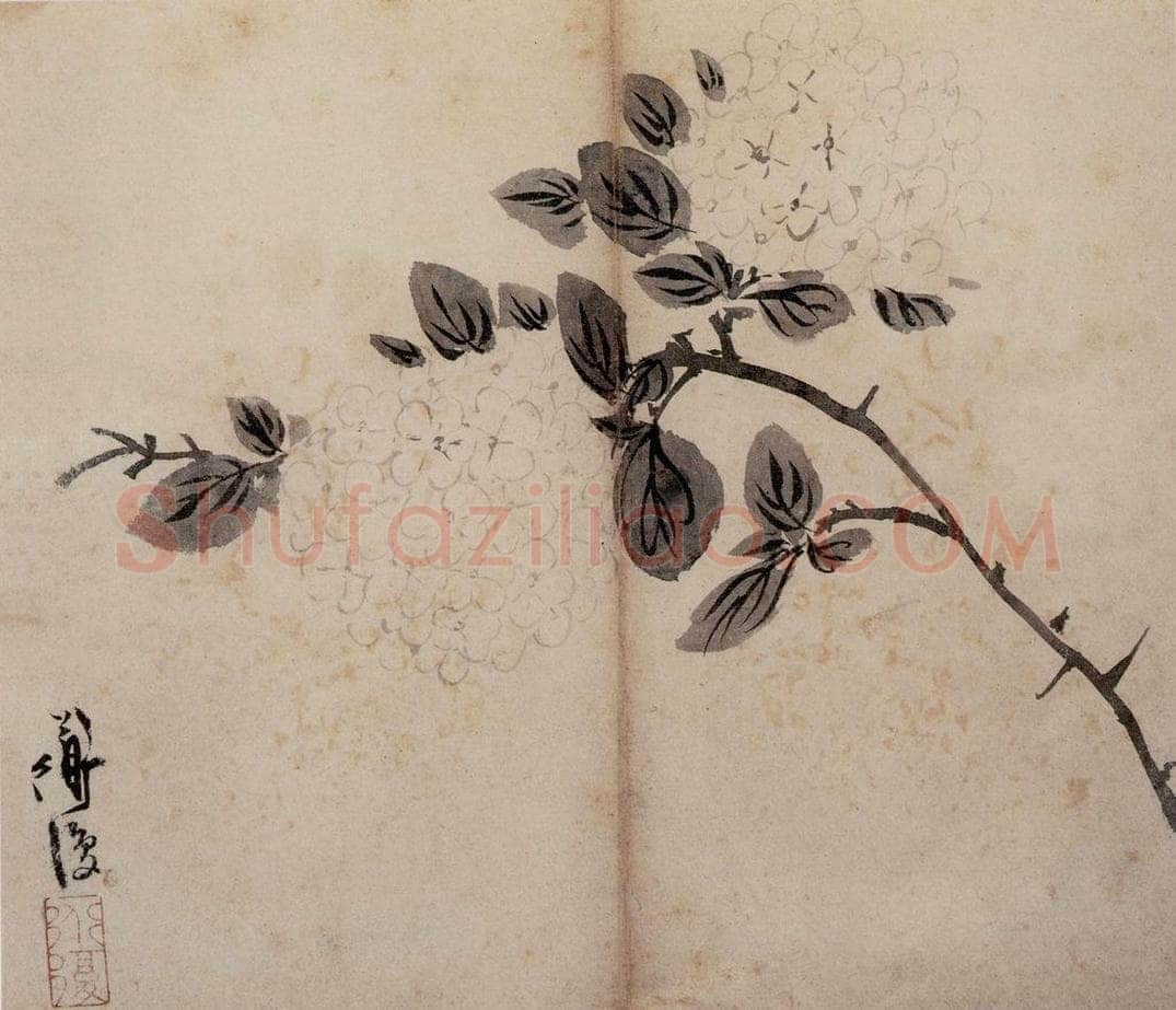 陈淳 《花卉册》 书画作品