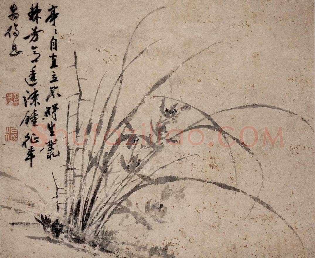 陈淳 《兰花图》 书画作品