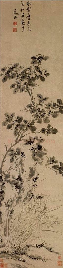  陈淳 《山茶水仙图》 书画作品