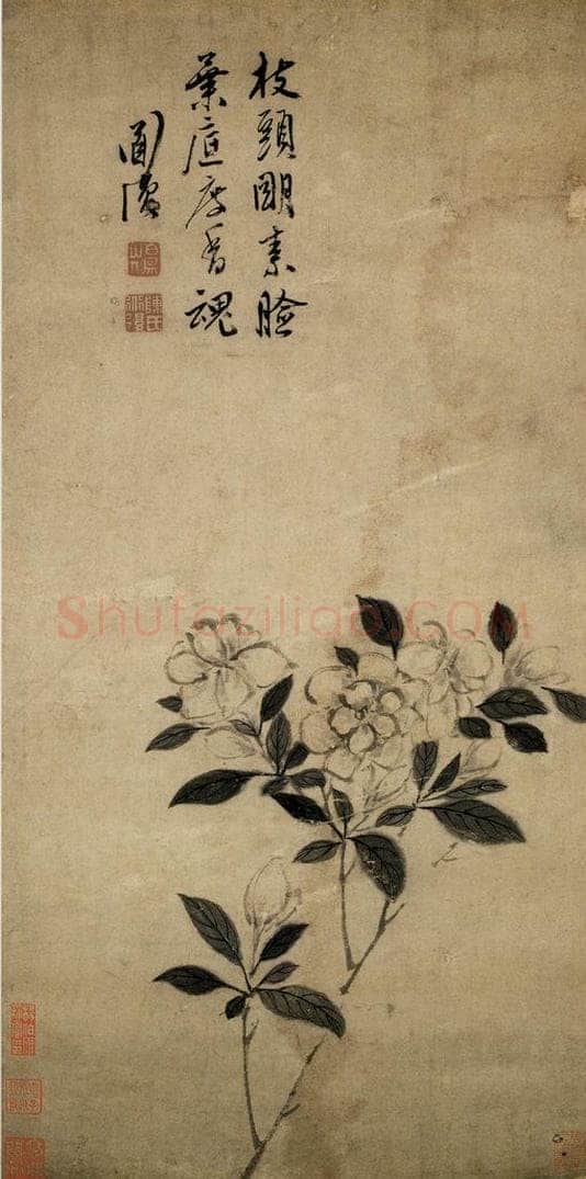 陈淳 《栀子花图》 书画作品