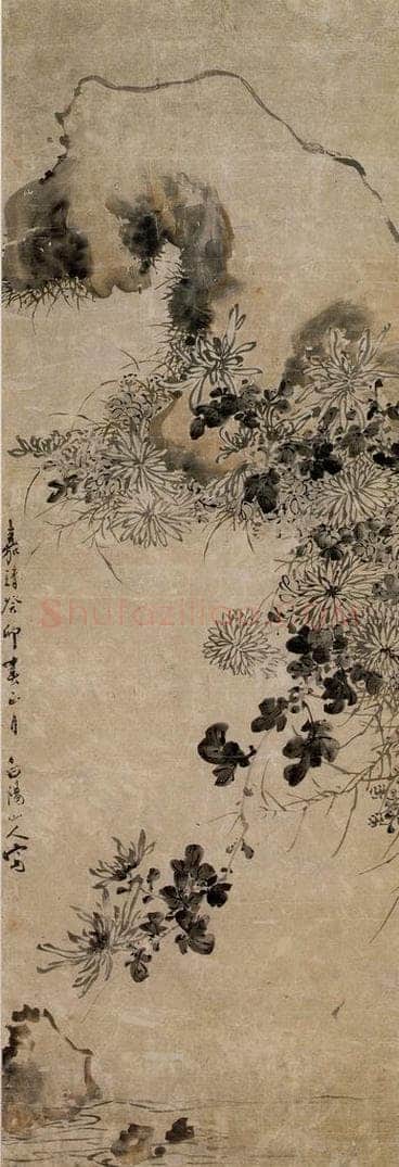  陈淳 《墨菊图》 书画作品