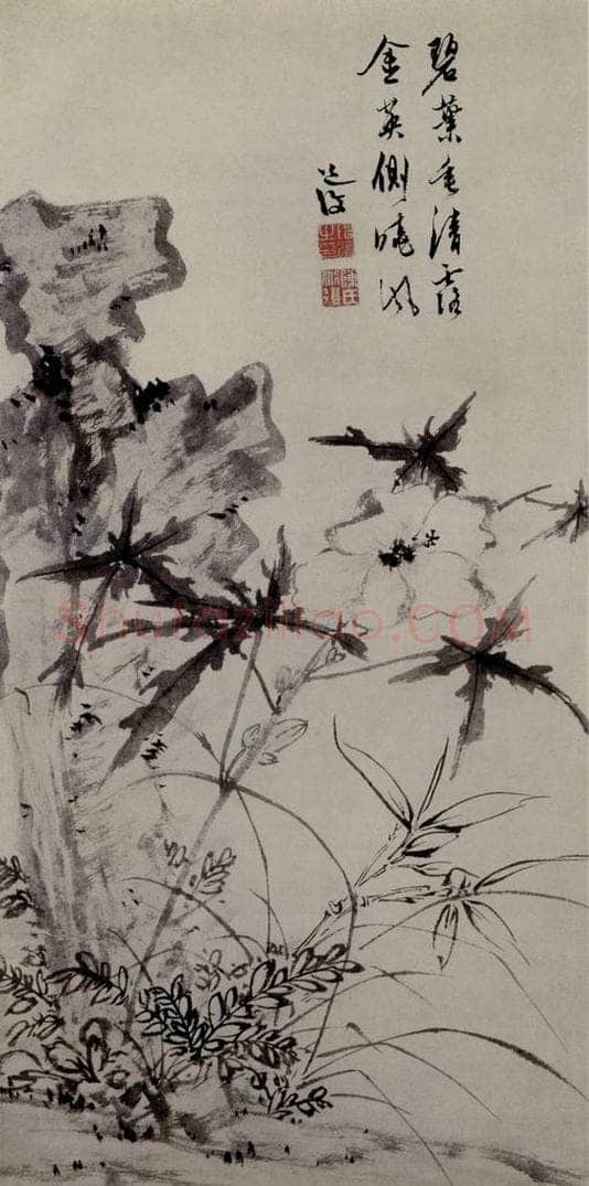  陈淳 《葵石图》 书画作品