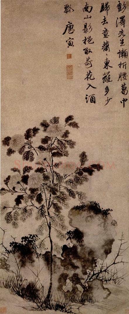 不明 唐寅 《菊花图》 书画作品