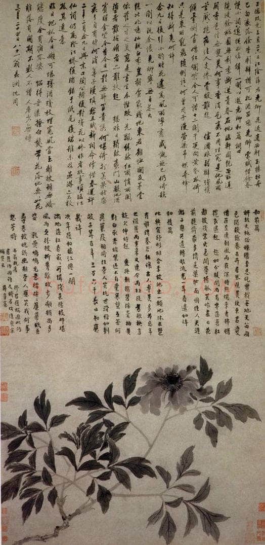 1507年 沈周 《牡丹图》 书画作品
