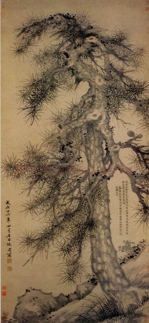 1480年 沈周 《松石图》 书画作品