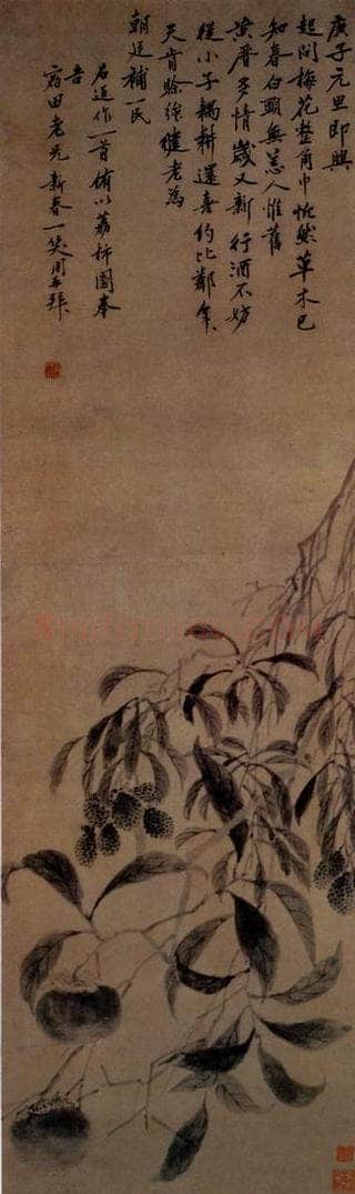 1480年 沈周 《荔柿图》 书画作品