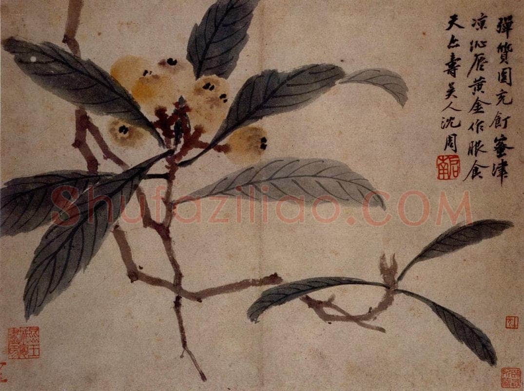 不明 沈周 《卧游图》 书画作品