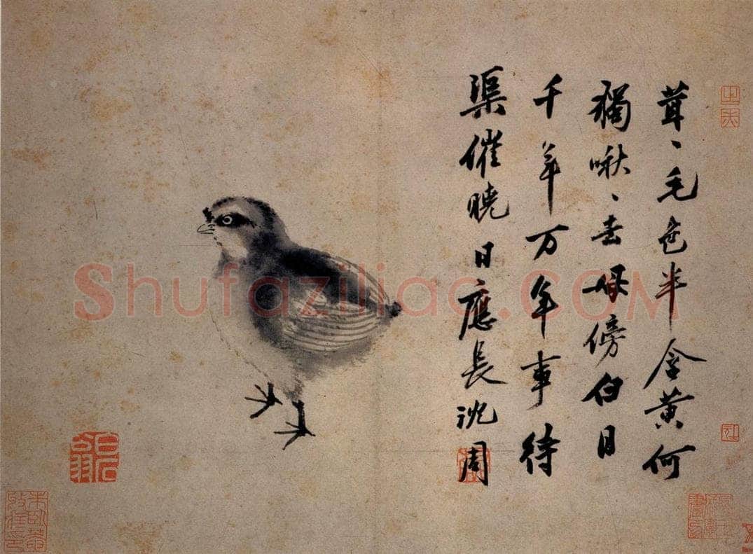 不明 沈周 《卧游图》 书画作品