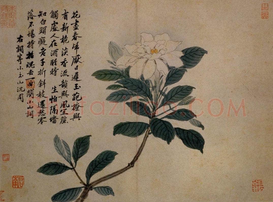 不明 沈周 《卧游图》 书画作品
