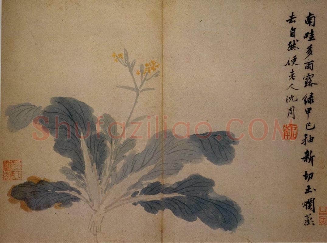 不明 沈周 《卧游图》 书画作品