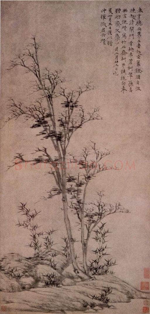 元朝 倪瓒 《竹石乔柯图》 书画作品