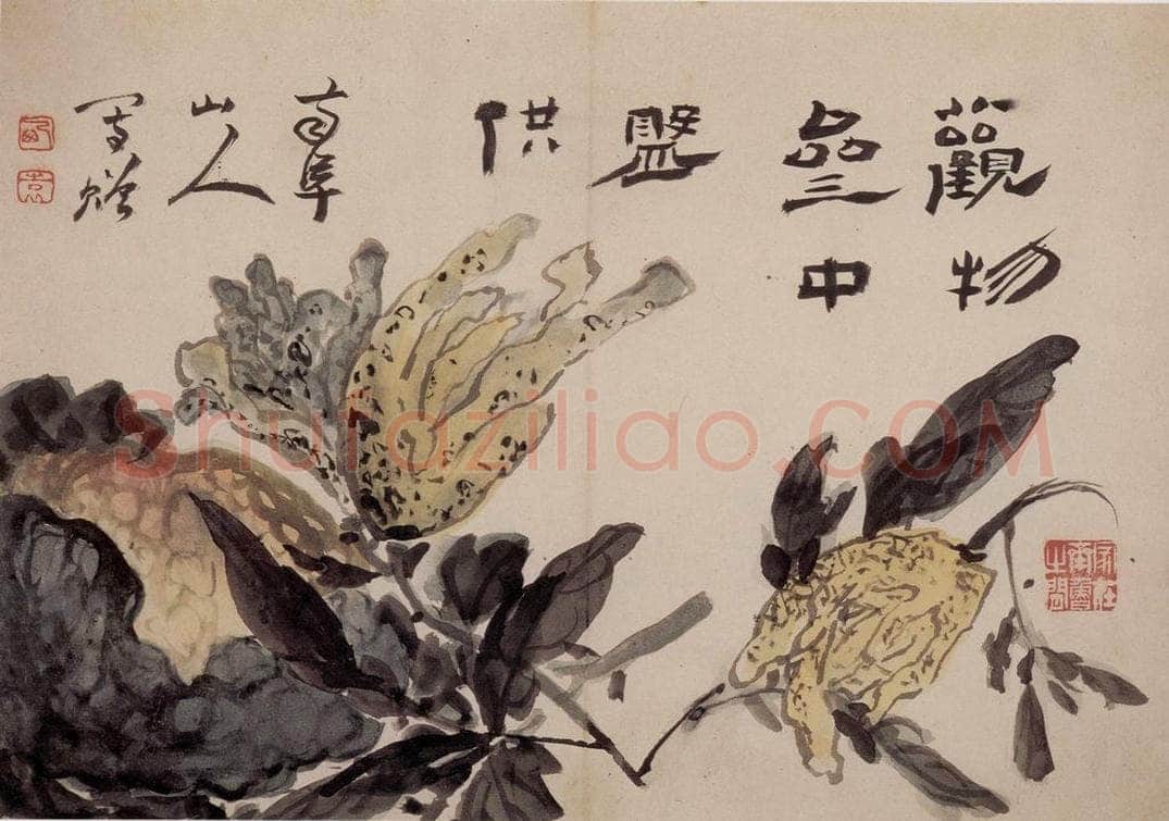 清 高凤翰 《书画册》 书画作品