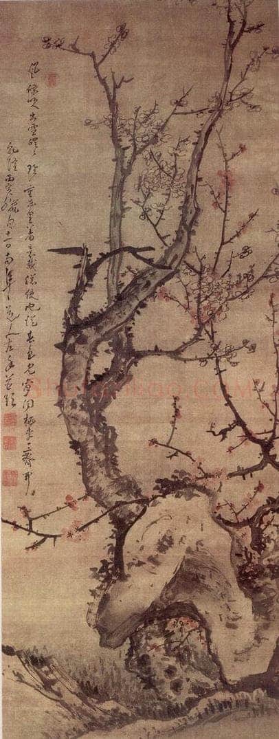 清 高凤翰 《梅石图》 书画作品