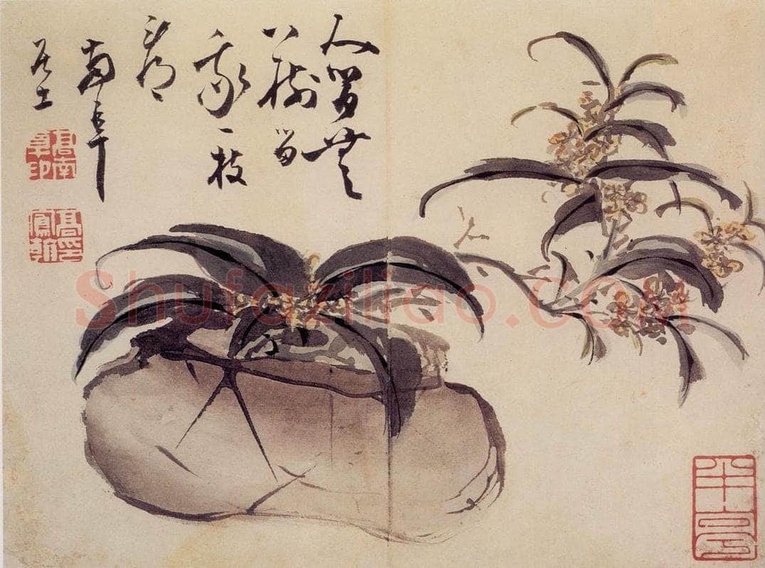 清 高凤翰 《花卉册》 书画作品