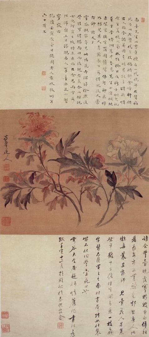 清 高凤翰 《牡丹图》 书画作品