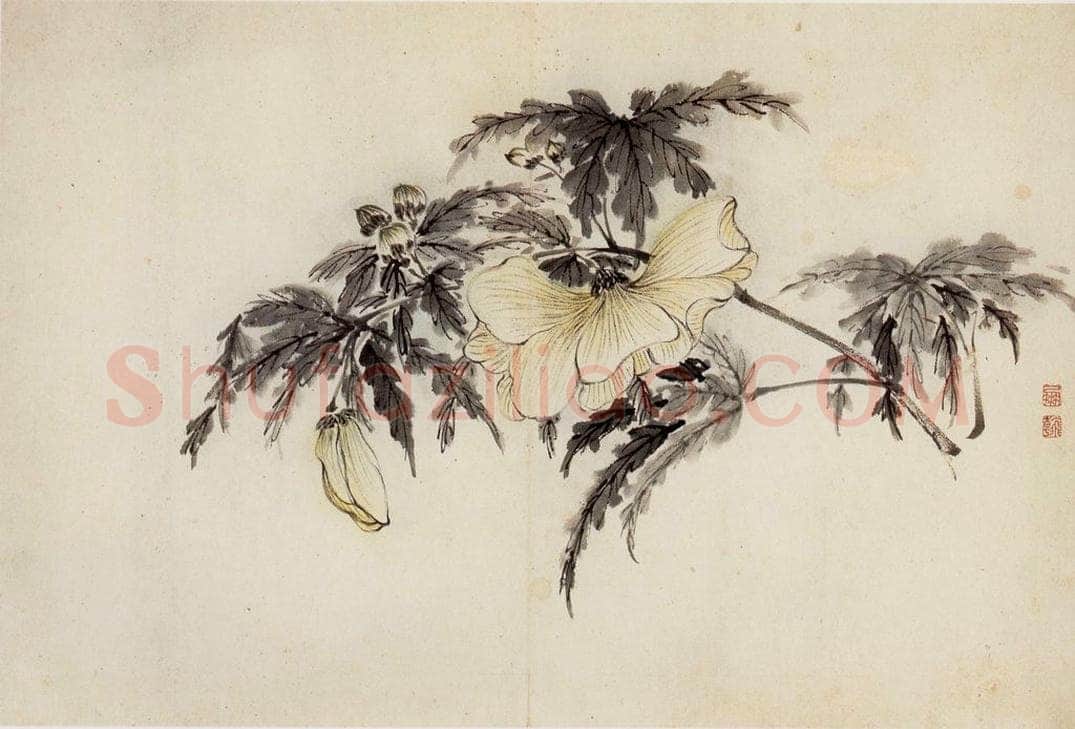清 高凤翰 《花卉册十开》 书画作品