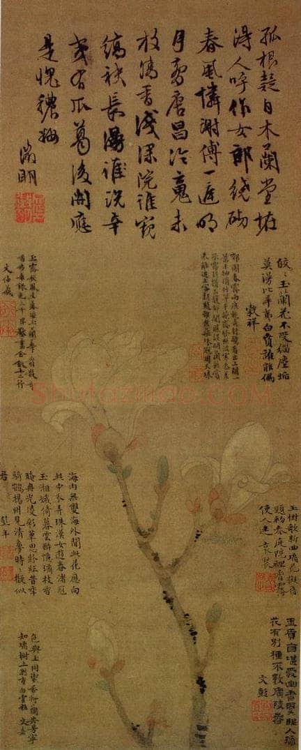 明代 文征明 《玉兰图》 书画作品