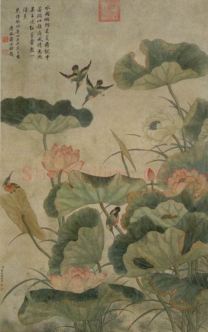 清代 蒋廷锡 《荷花翠鸟》 书画作品
