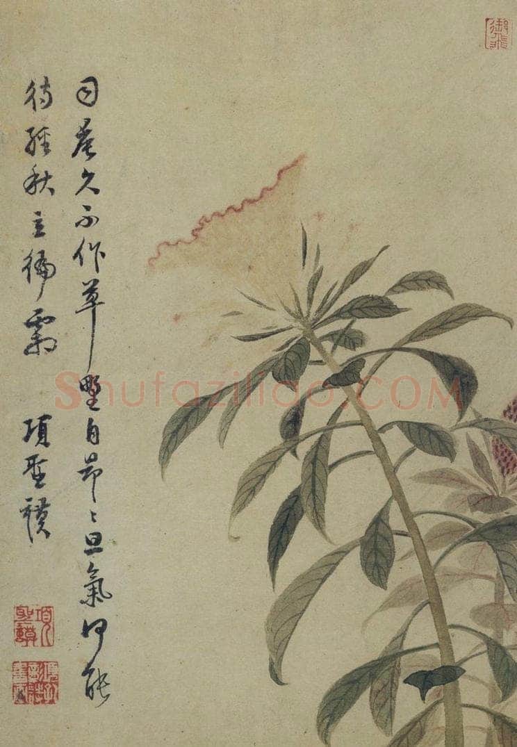 明 项圣谟 《山水花卉图册》 书画作品