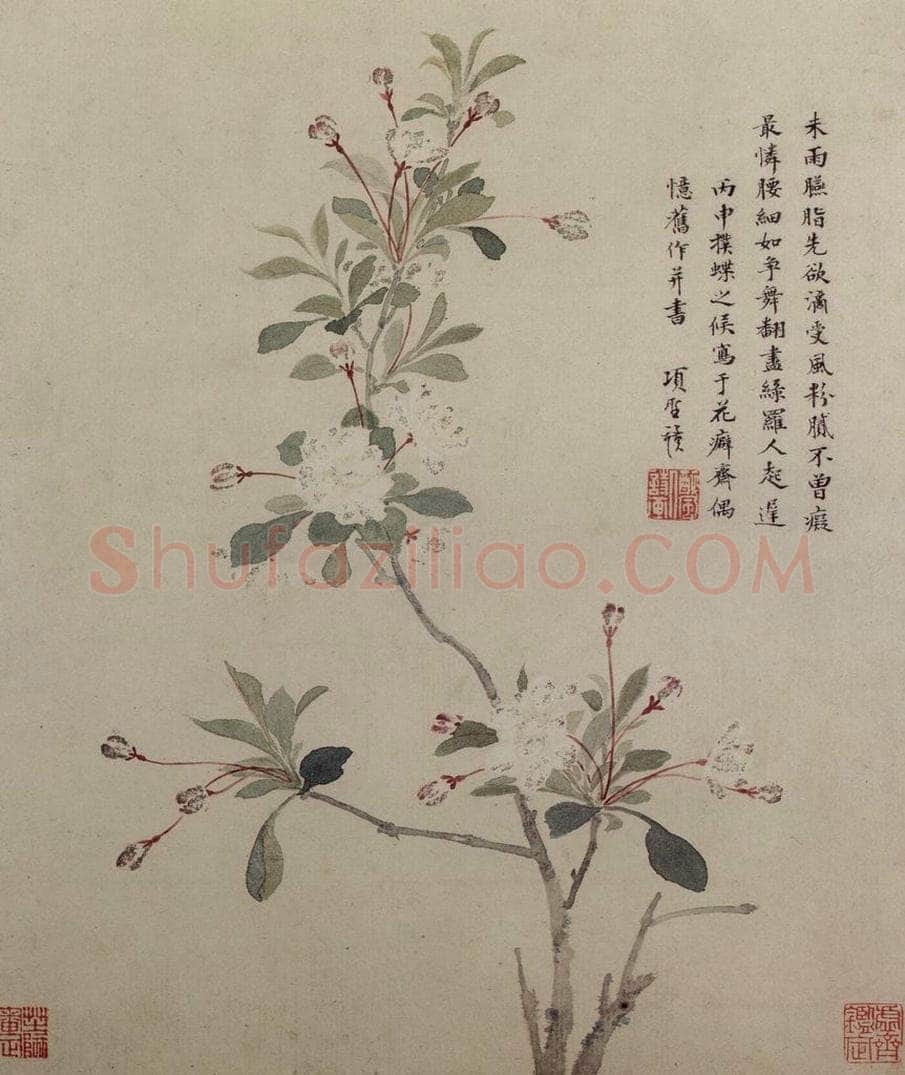 明 项圣谟 《花卉图册》 书画作品