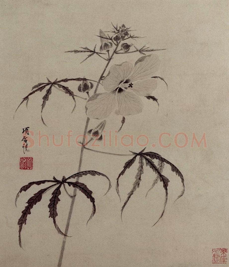 明 项圣谟 《花卉图册》 书画作品