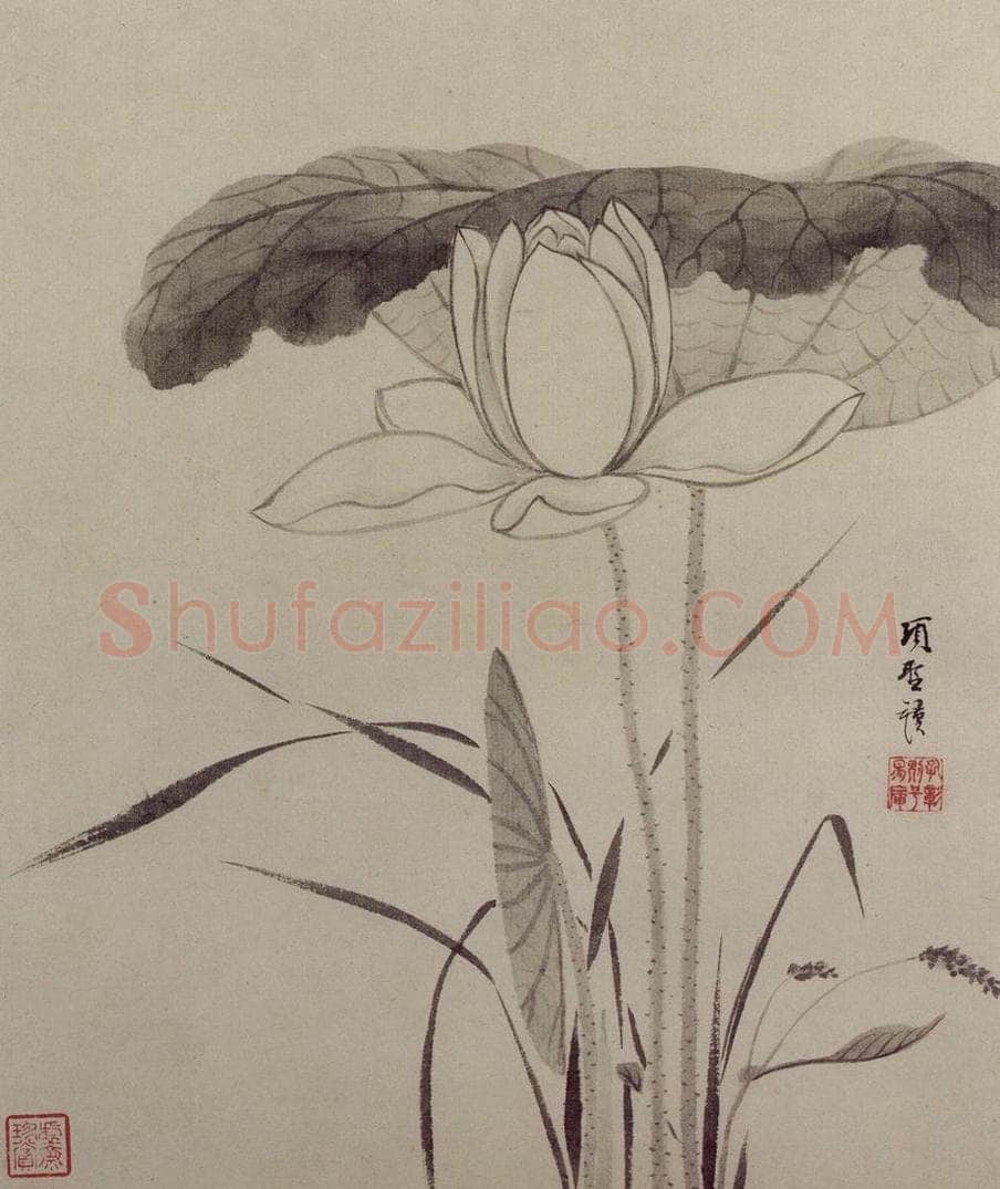 明 项圣谟 《花卉图册》 书画作品
