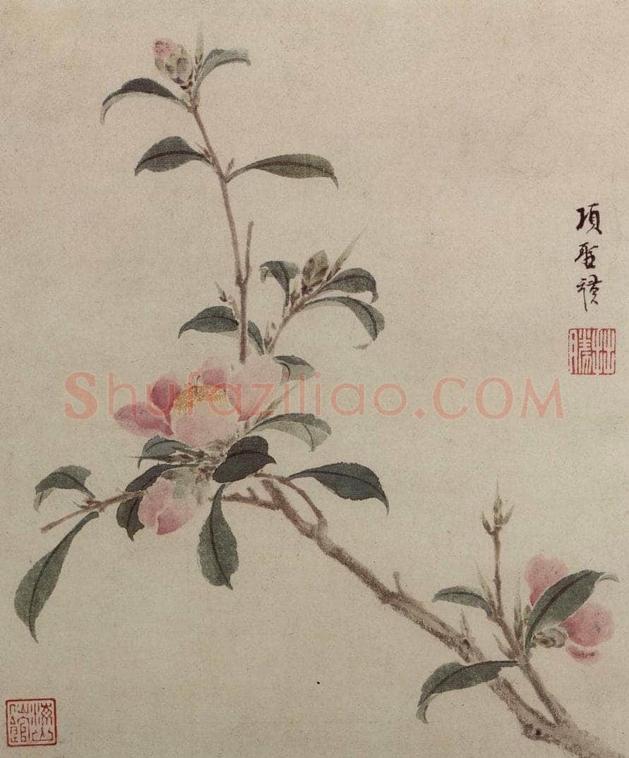 明 项圣谟 《花卉图册》 书画作品