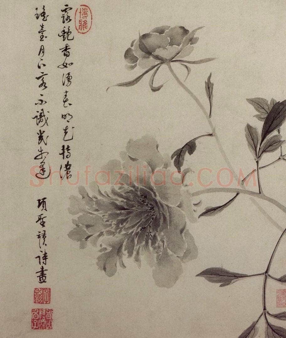 明 项圣谟 《花卉图册》 书画作品