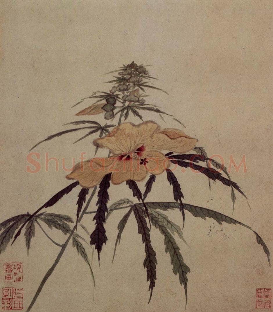 明 项圣谟 《易庵妙绘图册》 书画作品