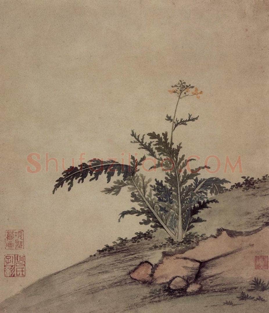 明 项圣谟 《易庵妙绘图册》 书画作品