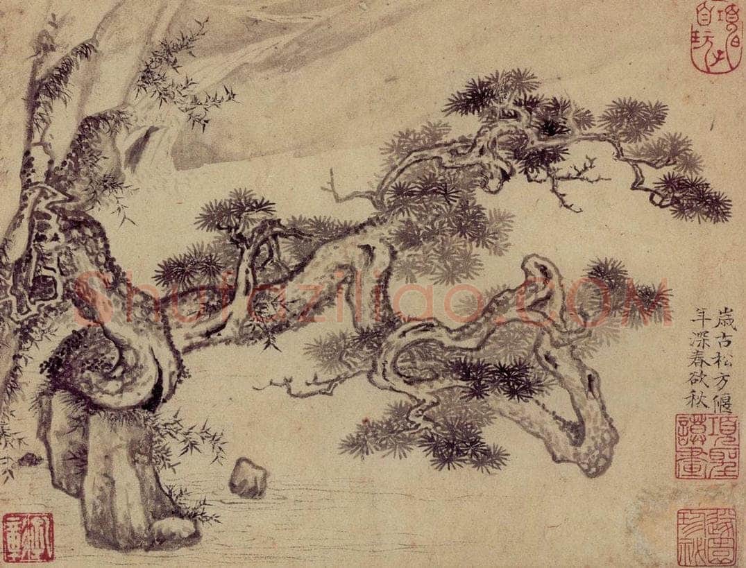 明 项圣谟 《松竹双清图册》 书画作品