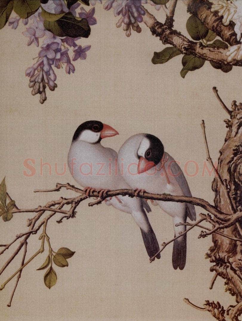 清 朗世宁 《仙萼长春图——紫白丁香》 书画作品
