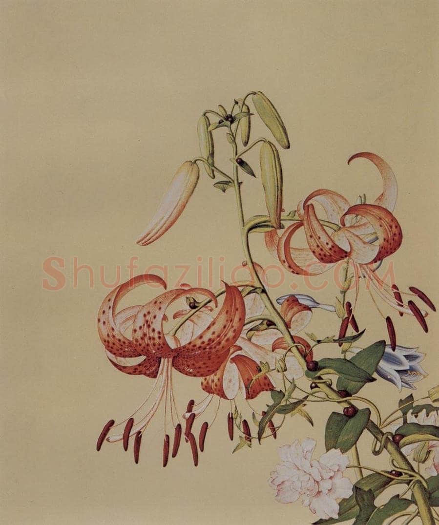 清 朗世宁 《仙萼长春图——百合缠枝牡丹》 书画作品