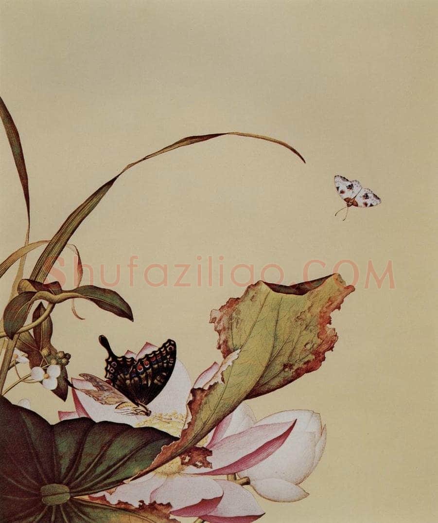 清 朗世宁 《仙萼长春图——荷花慈姑》 书画作品