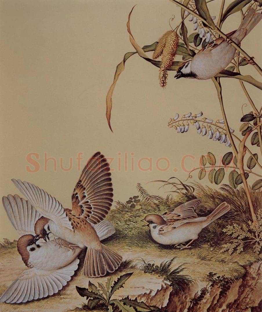 清 朗世宁 《仙萼长春图——谷花稷穗》 书画作品