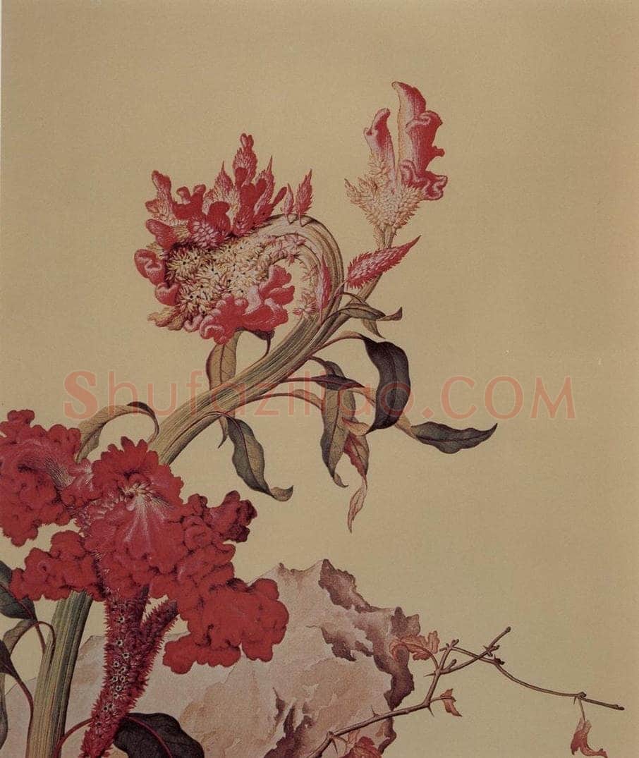清 朗世宁 《仙萼长春图——鸡冠花》 书画作品