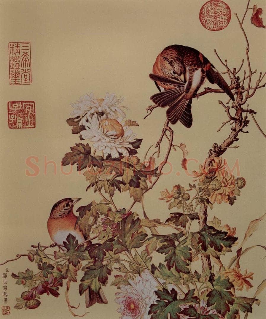 清 朗世宁 《仙萼长春图——菊花》 书画作品