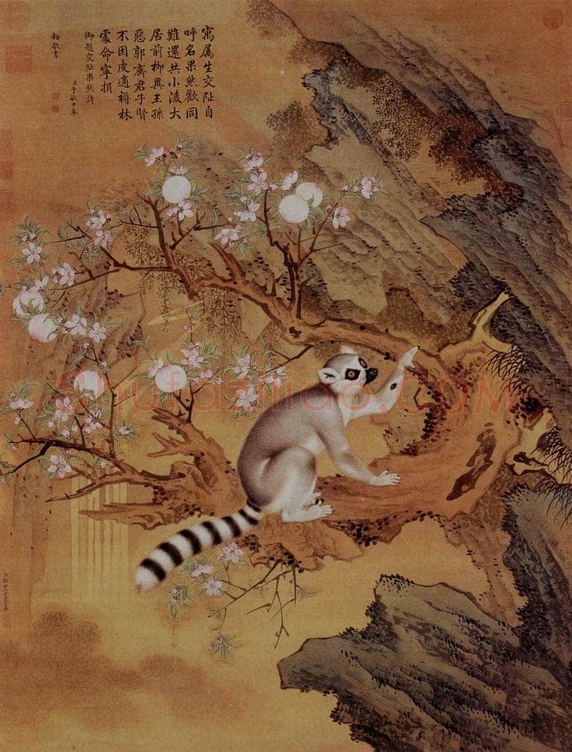 清 朗世宁 《交趾果然图》 书画作品