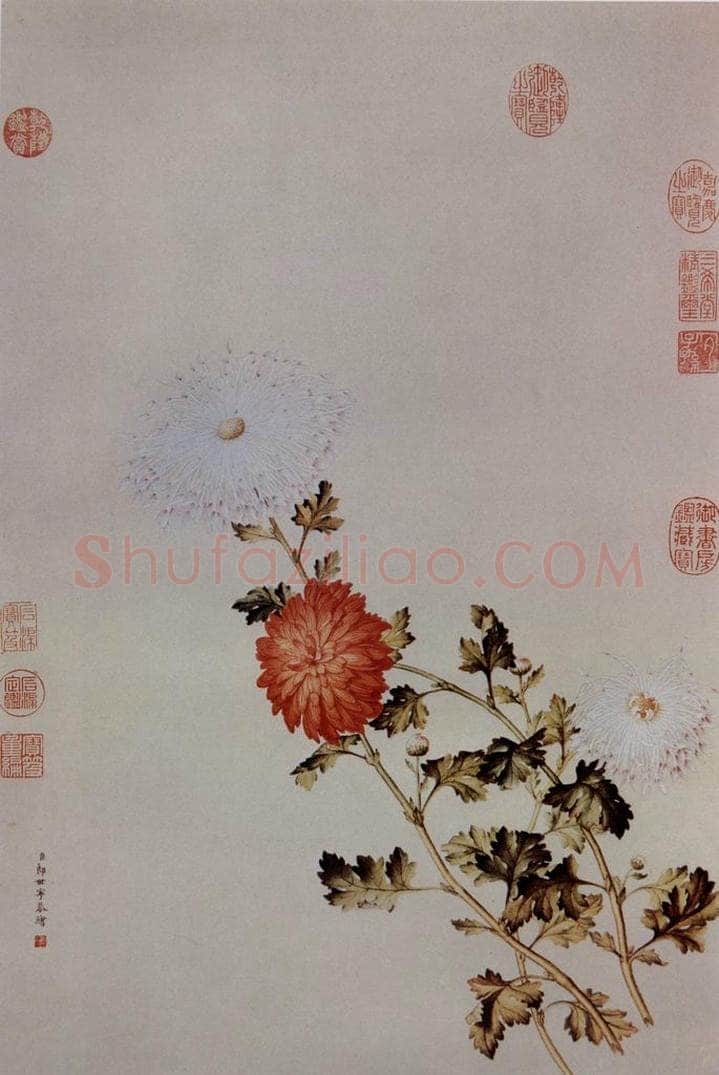 清 朗世宁 《洋菊图》 书画作品