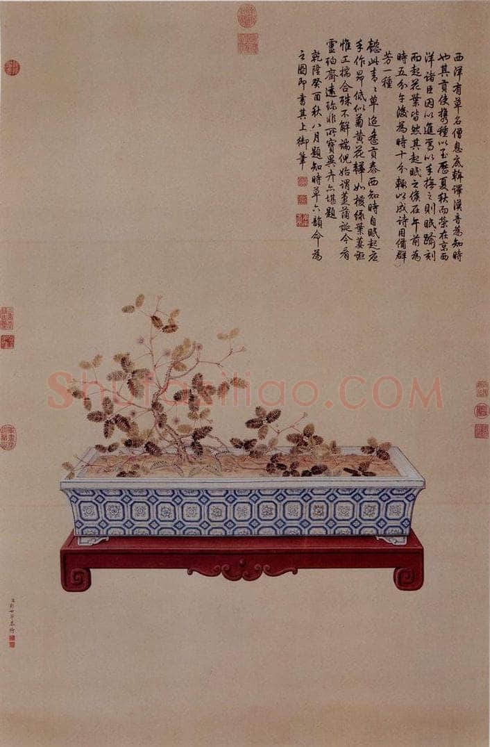 清 朗世宁 《海西知时草图》 书画作品