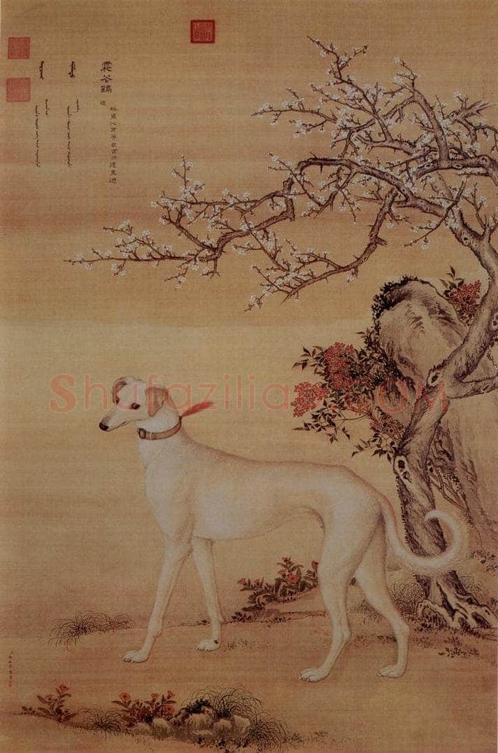 清 朗世宁 《十骏犬——霜花鹞》 书画作品