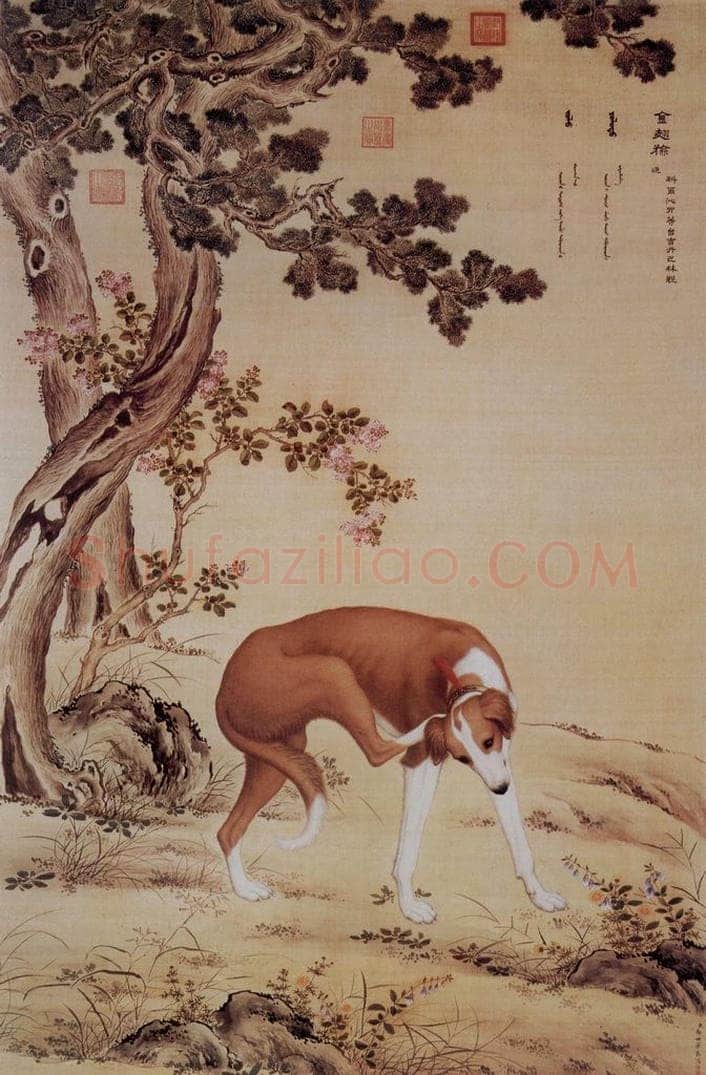 清 朗世宁 《十骏犬——金翅猃》 书画作品