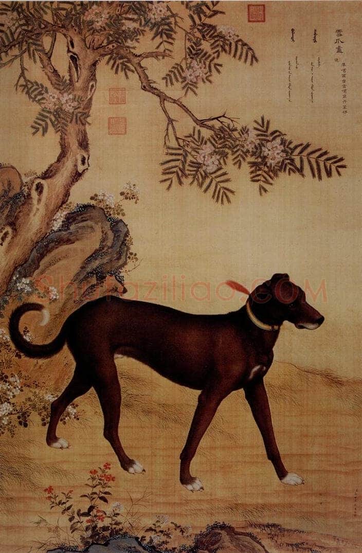 清 朗世宁 《十骏犬——雪爪卢》 书画作品