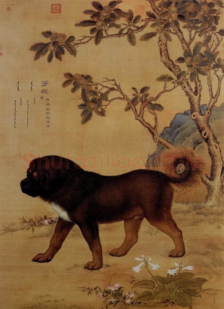 清 朗世宁 《十骏犬——苍猊》 书画作品
