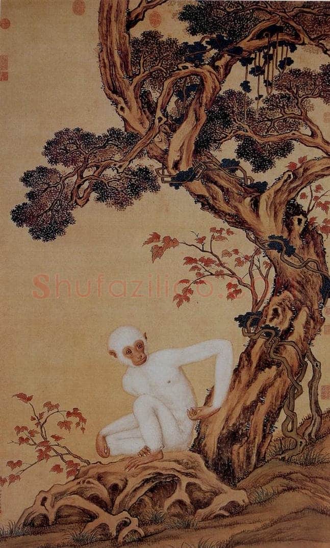 清 朗世宁 《白猿图》 书画作品
