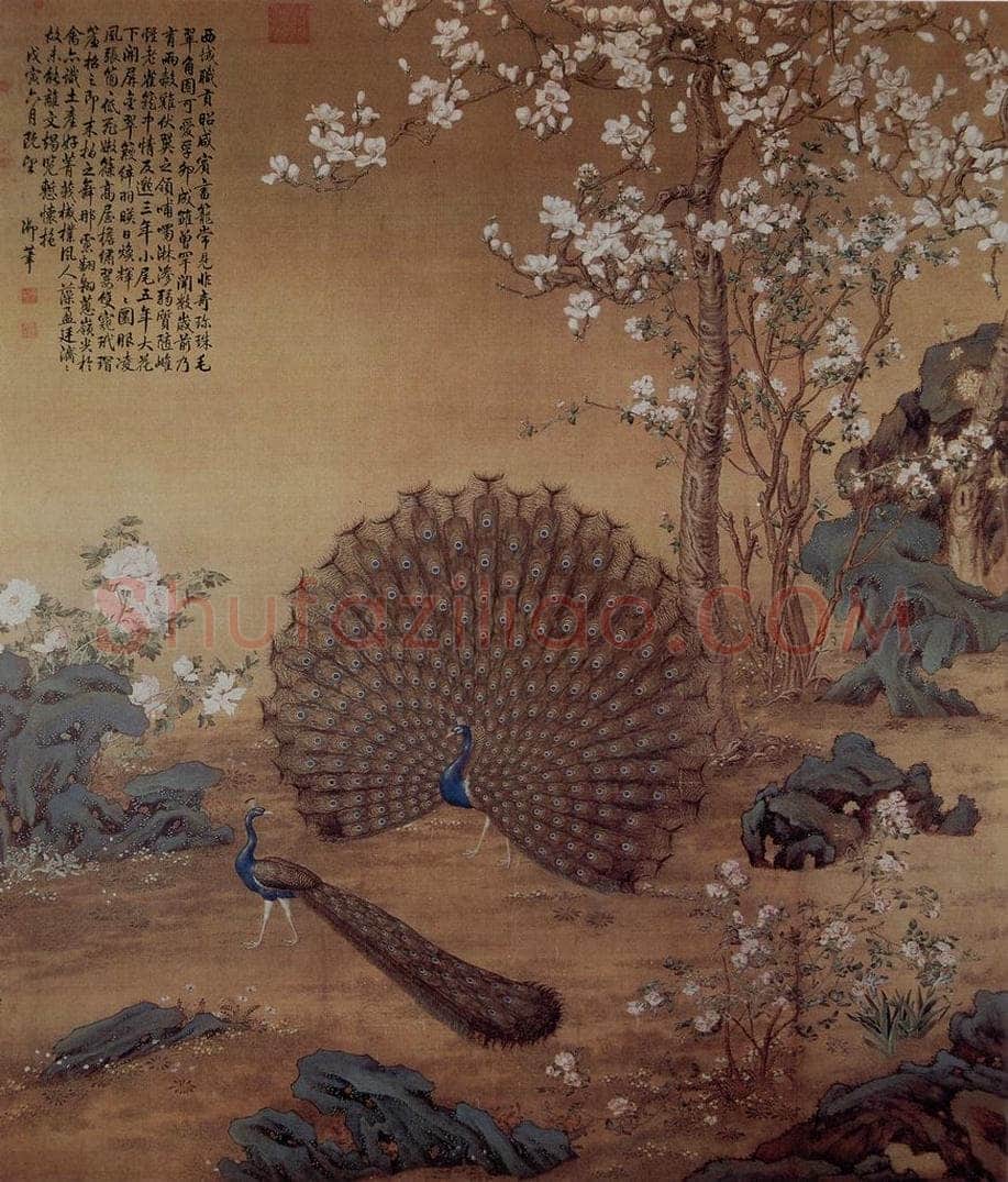 清 朗世宁 《孔雀开屏图》 书画作品