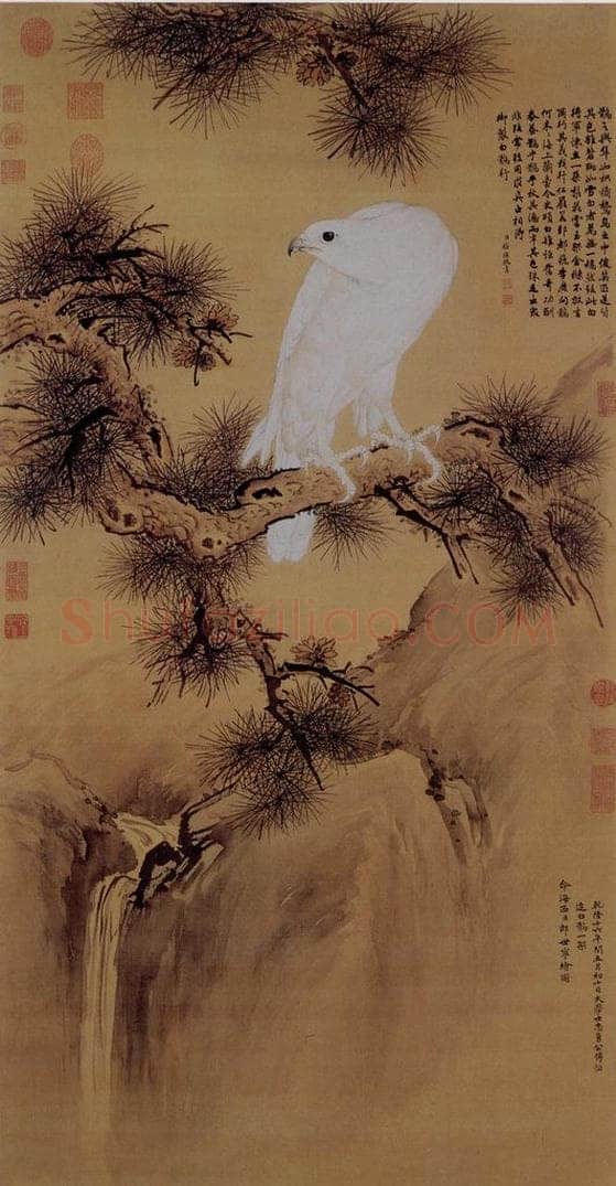 清 朗世宁 《白鹘图 》 书画作品