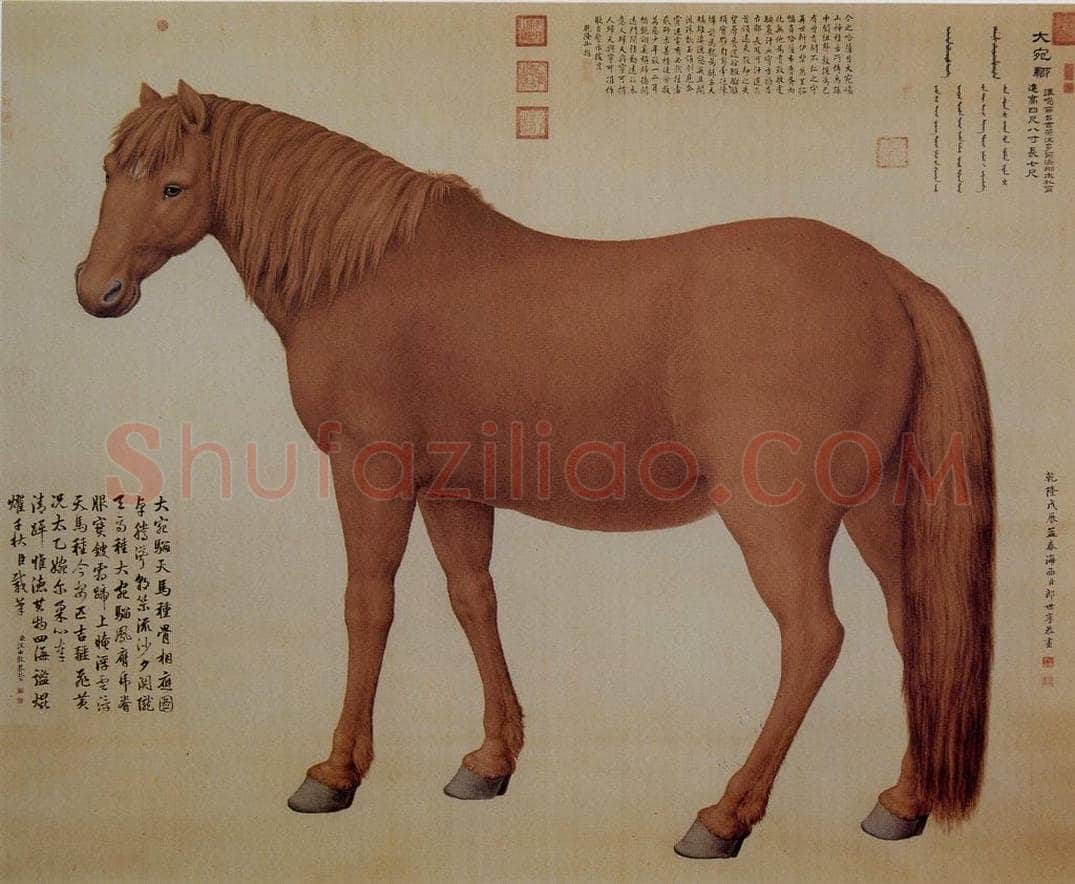 清 朗世宁 《十骏图——大宛骝》 书画作品